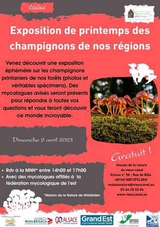Exposition de printemps des champignon de nos régions