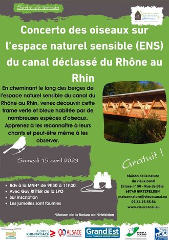 Concerto des oiseaux sur l'espace naturel sensible du canal déclassé du Rhône au Rhin