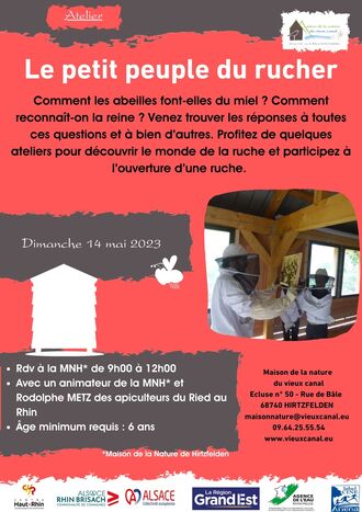 Le petit peuple des ruches