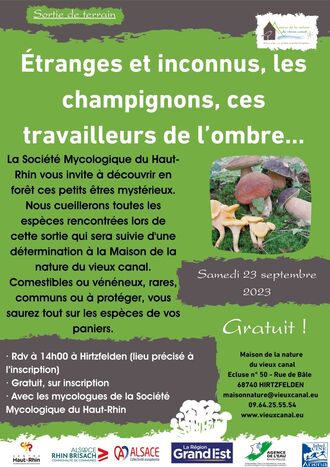 Etranges et inconnus, les champignons, ces travailleurs de l'ombre...