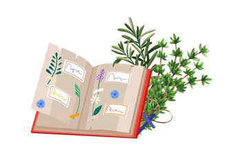 Petits herboristes : découvrir les plantes médicinales communes et fabriquer son herbier 
