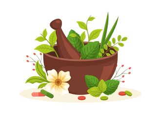 Les plantes médicinales du stress et du système nerveux