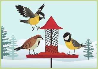 Comment aider les oiseaux en hiver ?