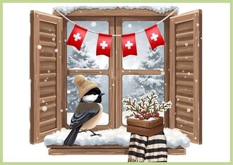 Sortie à la découverte des oiseaux hivernants en Argovie