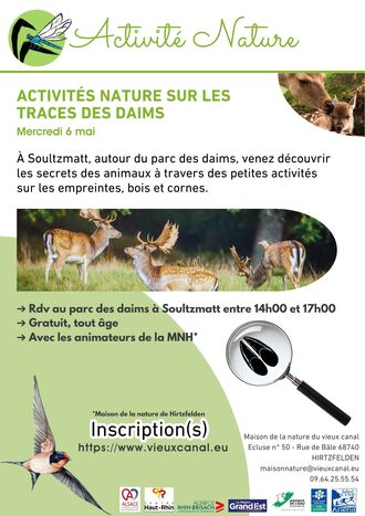 Activités nature sur les traces des daims