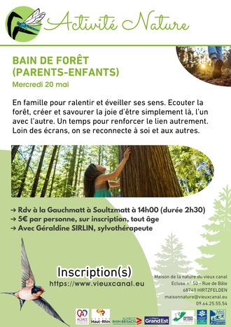 Bain de forêt parents-enfants