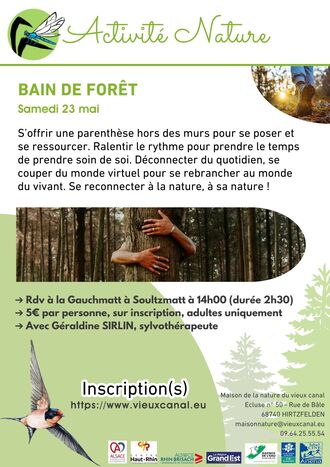 Bain de forêt 