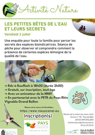 Les petites bêtes de l’eau et leurs secrets naturels