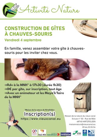 Construction de gîtes à chauves-souris