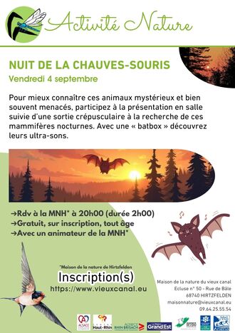 Nuit internationale de la chauve-souris