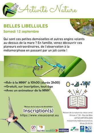 Belles libellules