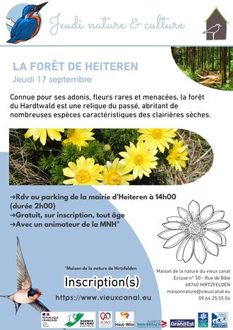 Jeudi nature et culture : La forêt de Heiteren