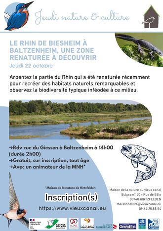 Le Rhin de Biesheim à Baltzenheim, une zone renaturée à découvrir