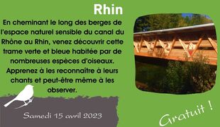 Concerto des oiseaux sur l'espace naturel sensible du canal déclassé du Rhône au Rhin