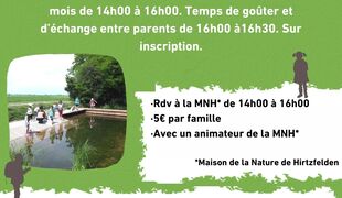 La nature en famille : Arts et nature : fabriquons nos couleurs et land art en famille