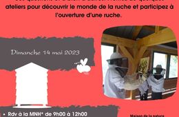 Le petit peuple des ruches