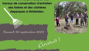 Chantier d'entretien de la forêt du Rothleible