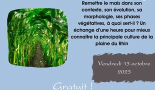 Conférence : le maïs histoire et développement