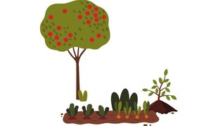 Soigner son verger et son potager avec l’aide de la nature et des plantes
