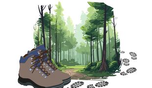Balade en Forêt Rhénane