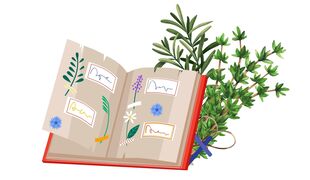 Petits herboristes : découvrir les plantes médicinales communes et fabriquer son herbier 