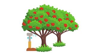 Bain de forêt, entre nature et poésie