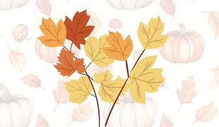 Contes d’automne, quand la chute des feuilles inspire des histoires