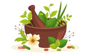 Les plantes médicinales du stress et du système nerveux
