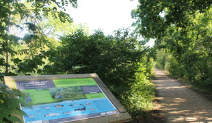Maison de la nature : Biodiversité et services écosystémiques, Trames vertes et bleues.