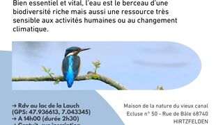 Lac de la Lauch: Le cycle de l’eau, ressource et sensibilité, lien avec le climat actuel et les pers