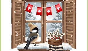 Sortie à la découverte des oiseaux hivernants en Argovie