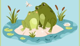 Les crapauds amoureux à Meyenheim