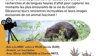 Conférence-projection sur le castor : « Présence »