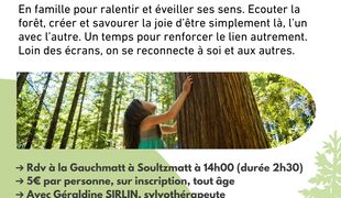 Bain de forêt parents-enfants