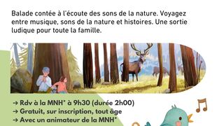 Entre livre et contes : Le carnaval des animaux