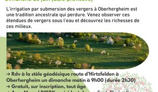 Découverte de l’irrigation des vergers d’Oberhergheim