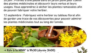 Mon herbier de plantes médicinales 