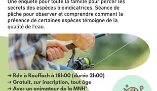 Les petites bêtes de l’eau et leurs secrets naturels