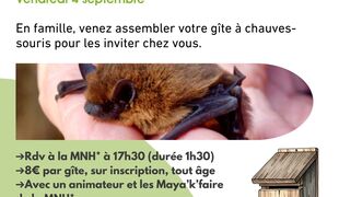 Construction de gîtes à chauves-souris