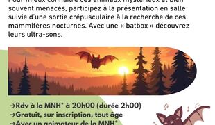 Nuit internationale de la chauve-souris