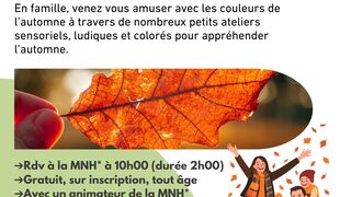 Land art automnal en famille