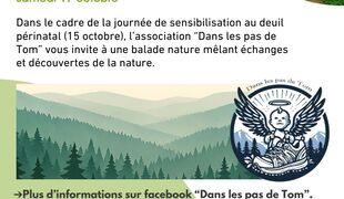 Sortie nature avec l’association « Dans les pas de Tom » 