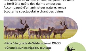 Le raire du daim