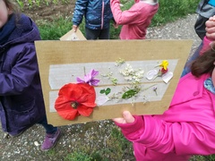 Petits naturalistes !