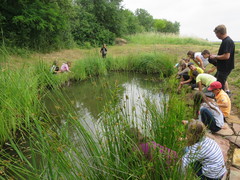 Tous à l'eau ! 