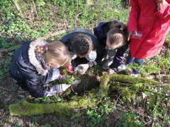 Tous en forêt !