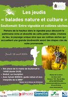Les jeudis « balade nature et culture » Soultzmatt: Entre vignoble et collines sèches