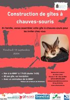 Construction de gîtes à chauves-souris