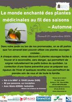 Le monde enchanté des plantes médicinales au fil des saisons – Automne