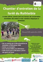 Chantier d’entretien de la forêt du Rothleible